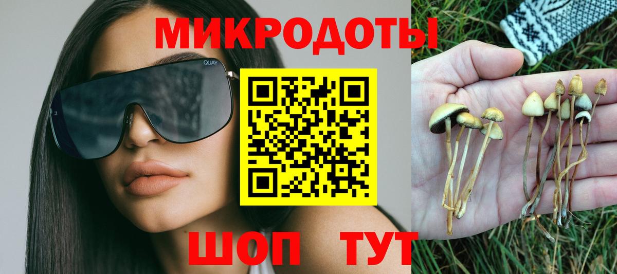 Псилоцибиновые грибы Magic Shrooms Тула